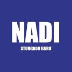 NADI KG STUNGKOR BARU Profile Picture