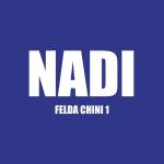 NADI FELDA CHINI 1 Profile Picture