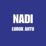 NADI LUBOK ANTU Profile Picture