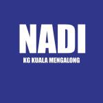 NADI KG KUALA MENGALONG Profile Picture