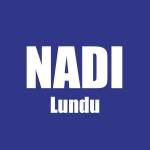 NADI LUNDU Profile Picture