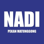 NADI PEKAN MATUNGGONG Profile Picture