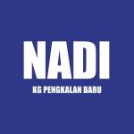 NADI KG PENGKALAN BARU Profile Picture
