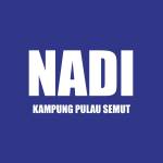 NADI KAMPUNG PULAU SEMUT Profile Picture