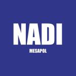 NADI MESAPOL Profile Picture