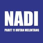 NADI PARIT 11 HUTAN MELINTANG Profile Picture