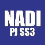 NADI PJ SS3 Profile Picture