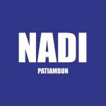 NADI PATIAMBUN Profile Picture