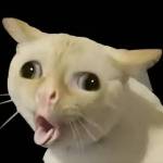 Nurul Aznil Profile Picture