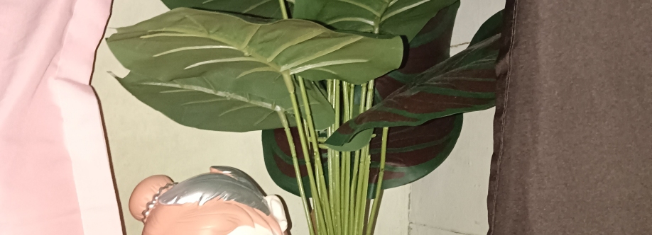 nursela Naser Cover Image