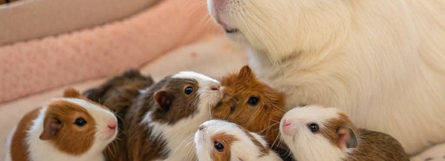 siti norsalia bt safaridan safaridan Cover Image