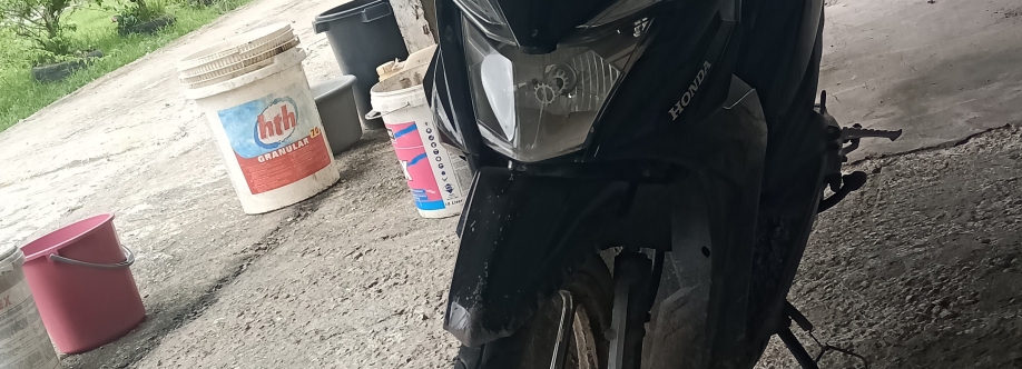 lady marenna Cover Image